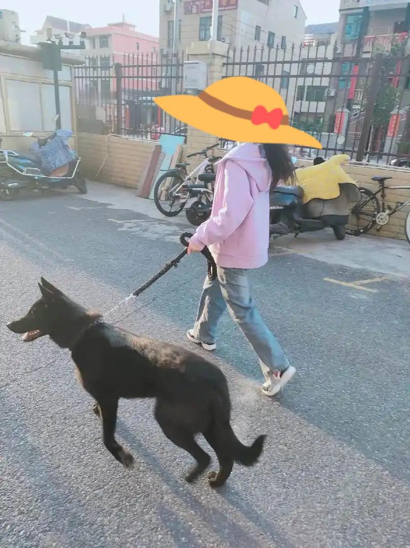 小区惊遇“黑旋风”：文明养宠岂能无视邻里安全？

今天去小区找朋友，本来心情挺放