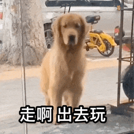大家都想着放假，没剩多少人关心A股，毕竟双节，可以好好休息下。[笑cry][笑c