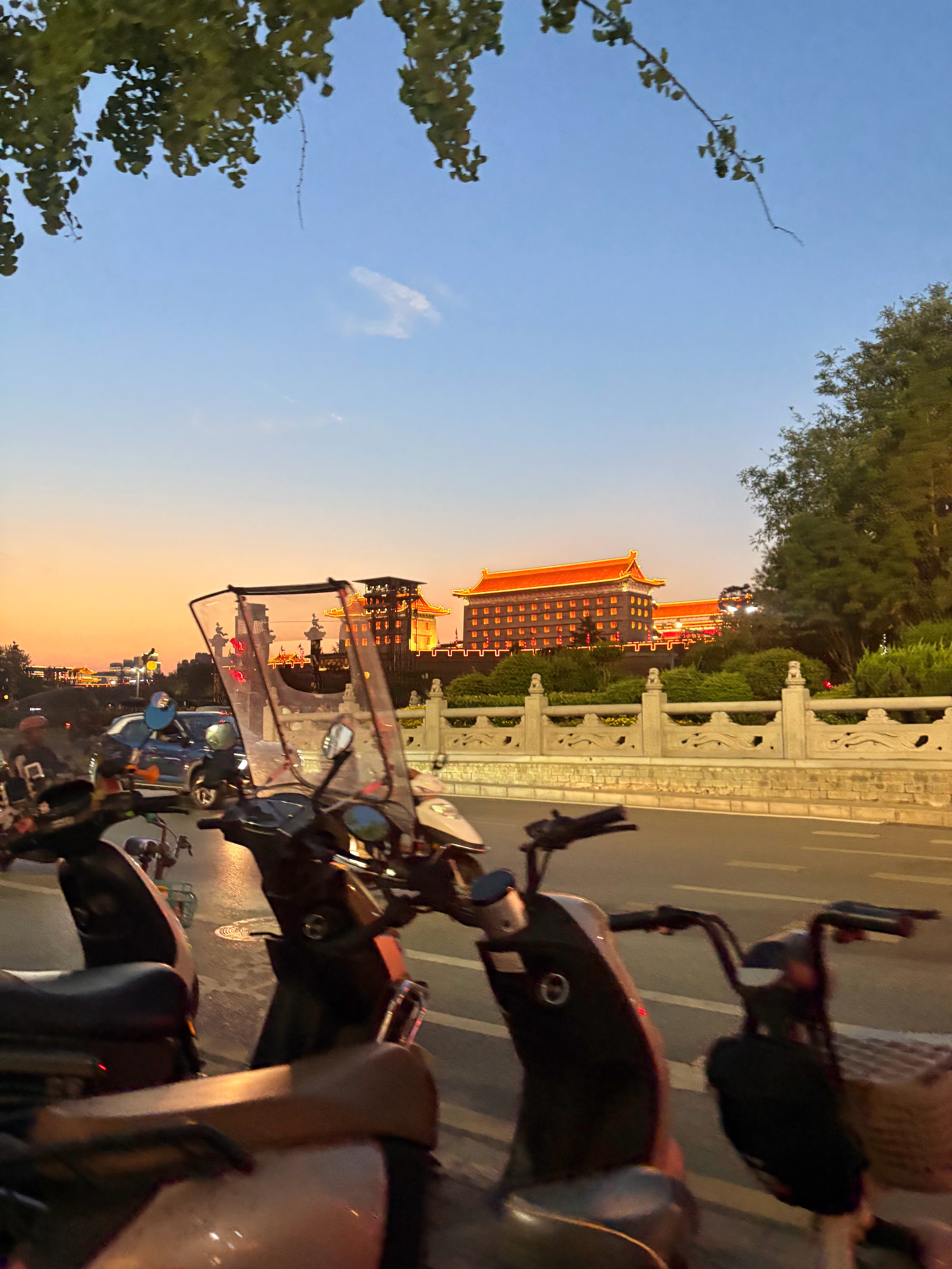 分享图片 