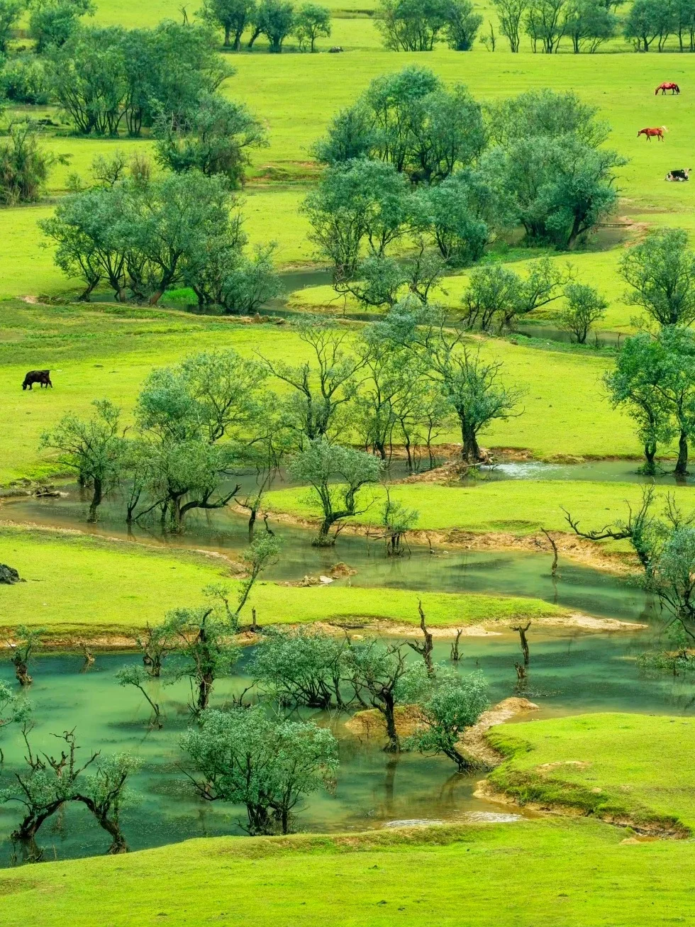 带娃二刷22℃的崇左，真比新疆还治愈！