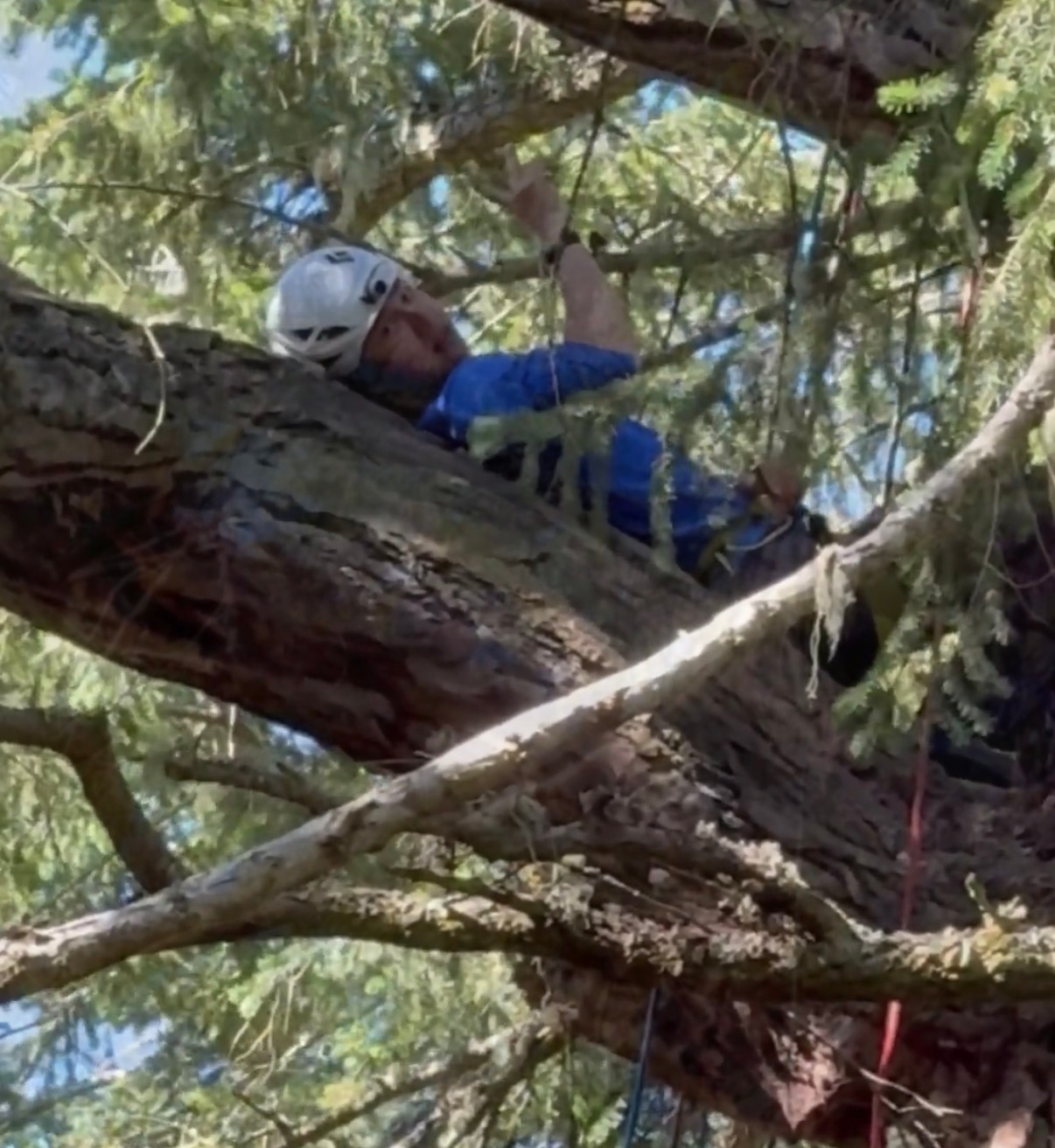 主榜热/嗖  舞起来  全面铺美图，安利指路👉🏻王一博马冬梅文学