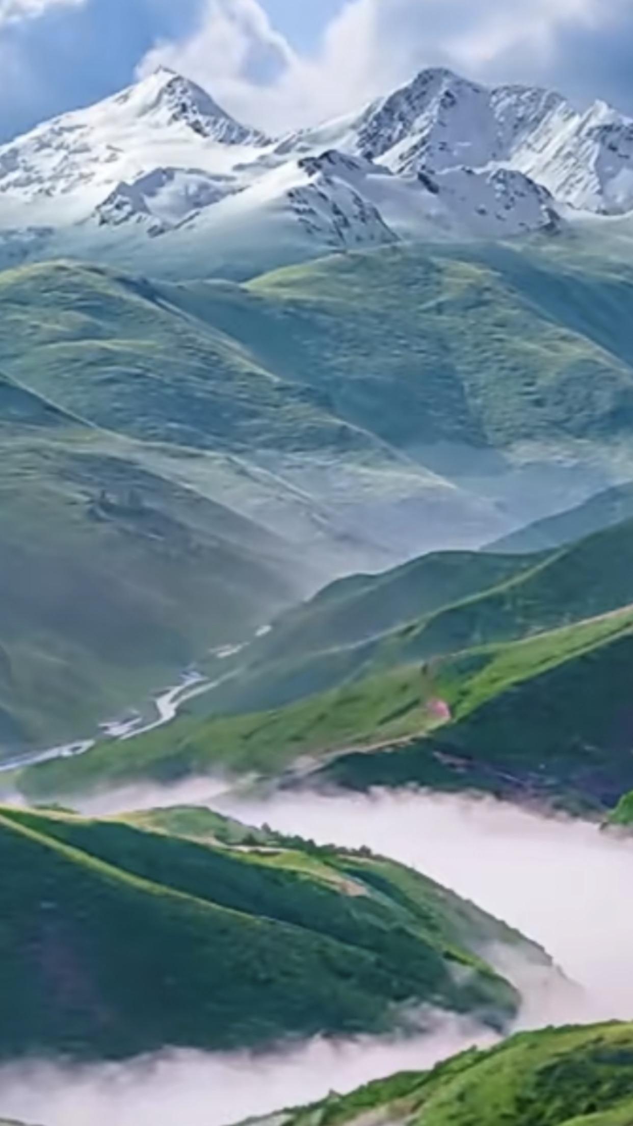 每天分享一句人生感悟人生没有等出来的辉煌，只有拼出来的精彩。每一个不曾起舞的日子