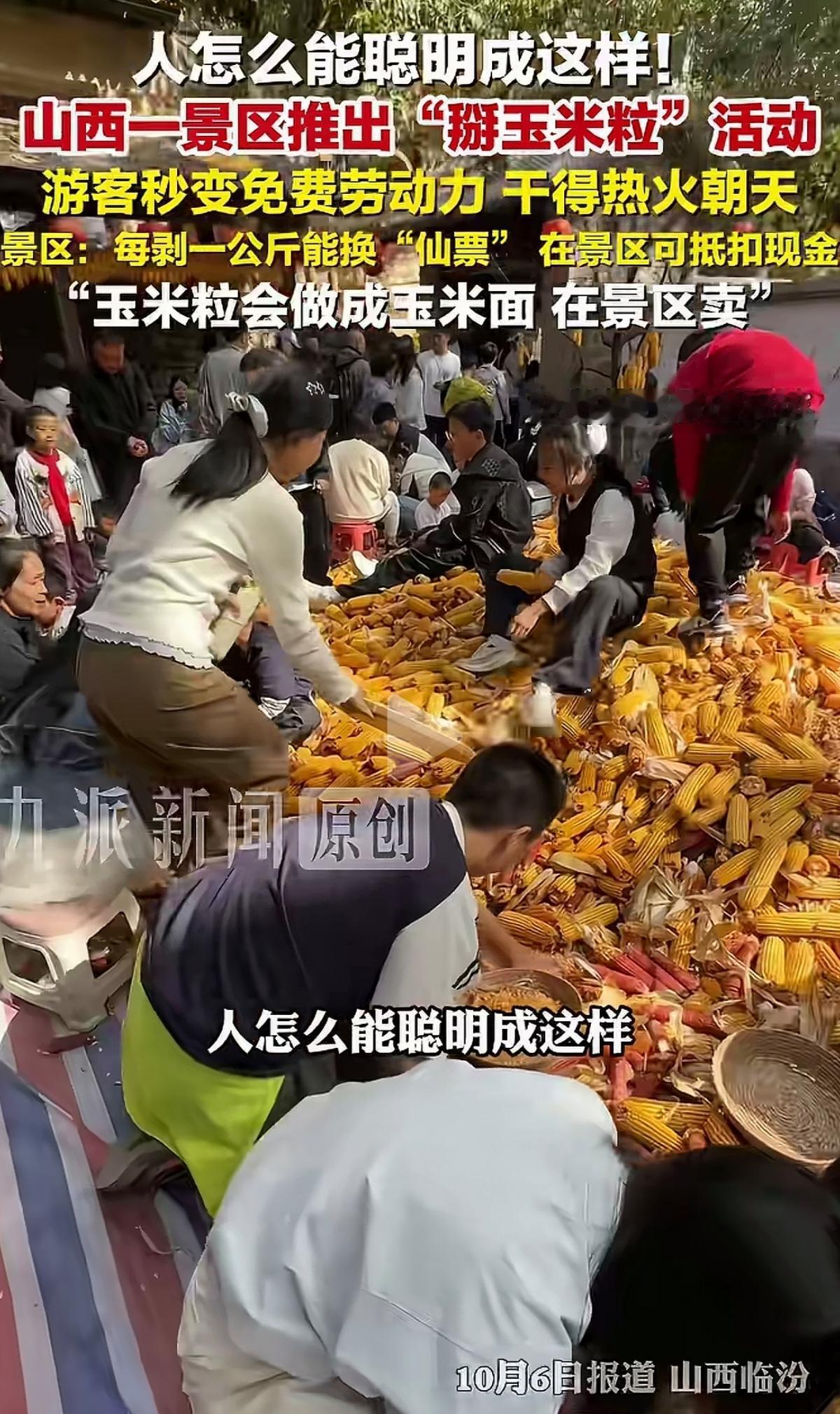 掰玉米换门票，是体验生活还是免费打工？

山西临汾云丘山景区在国庆期间推出了一项