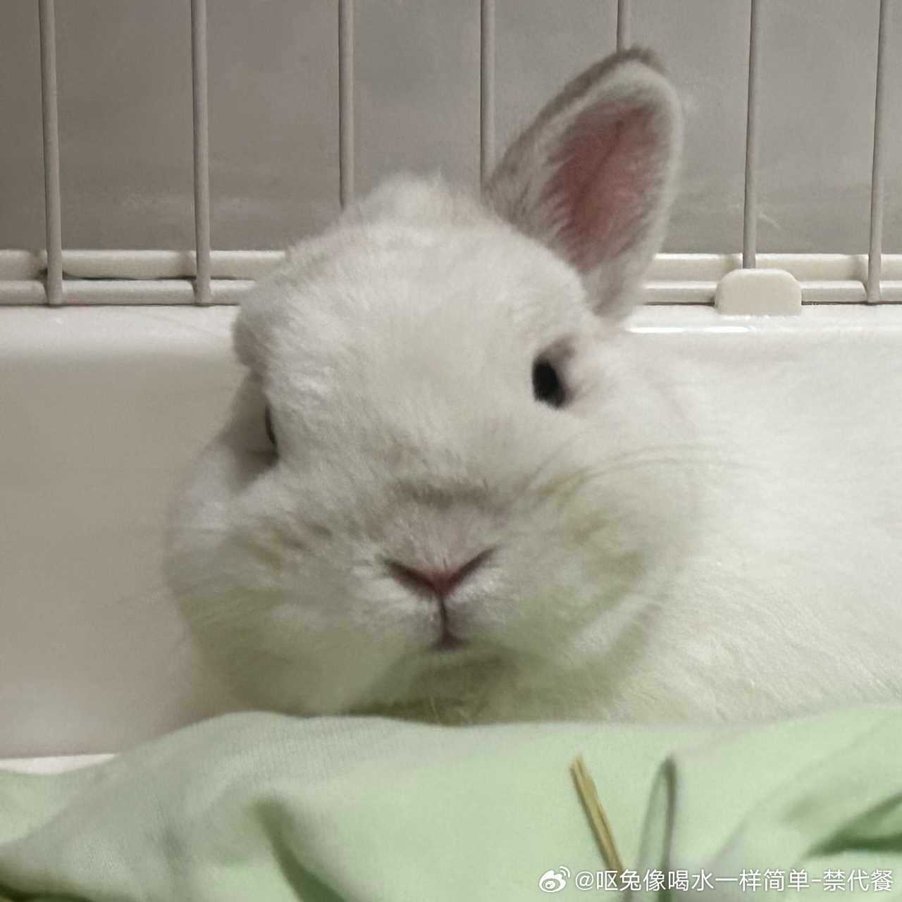 15045🐇【发霉老大叔】发霉老大叔 ​​​
