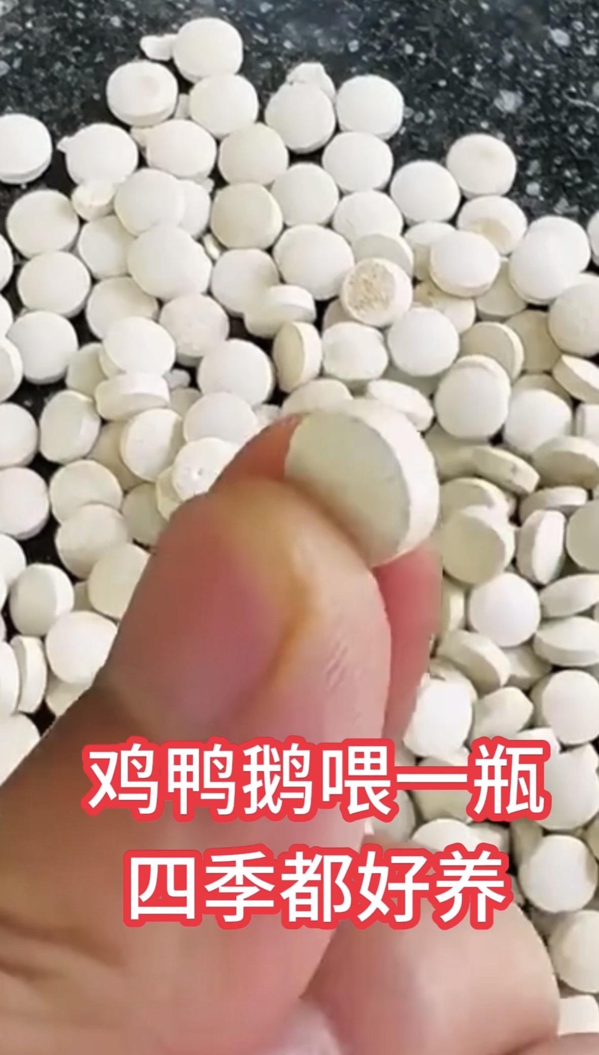 鸡鸭鹅养殖鸡鸭鹅养殖