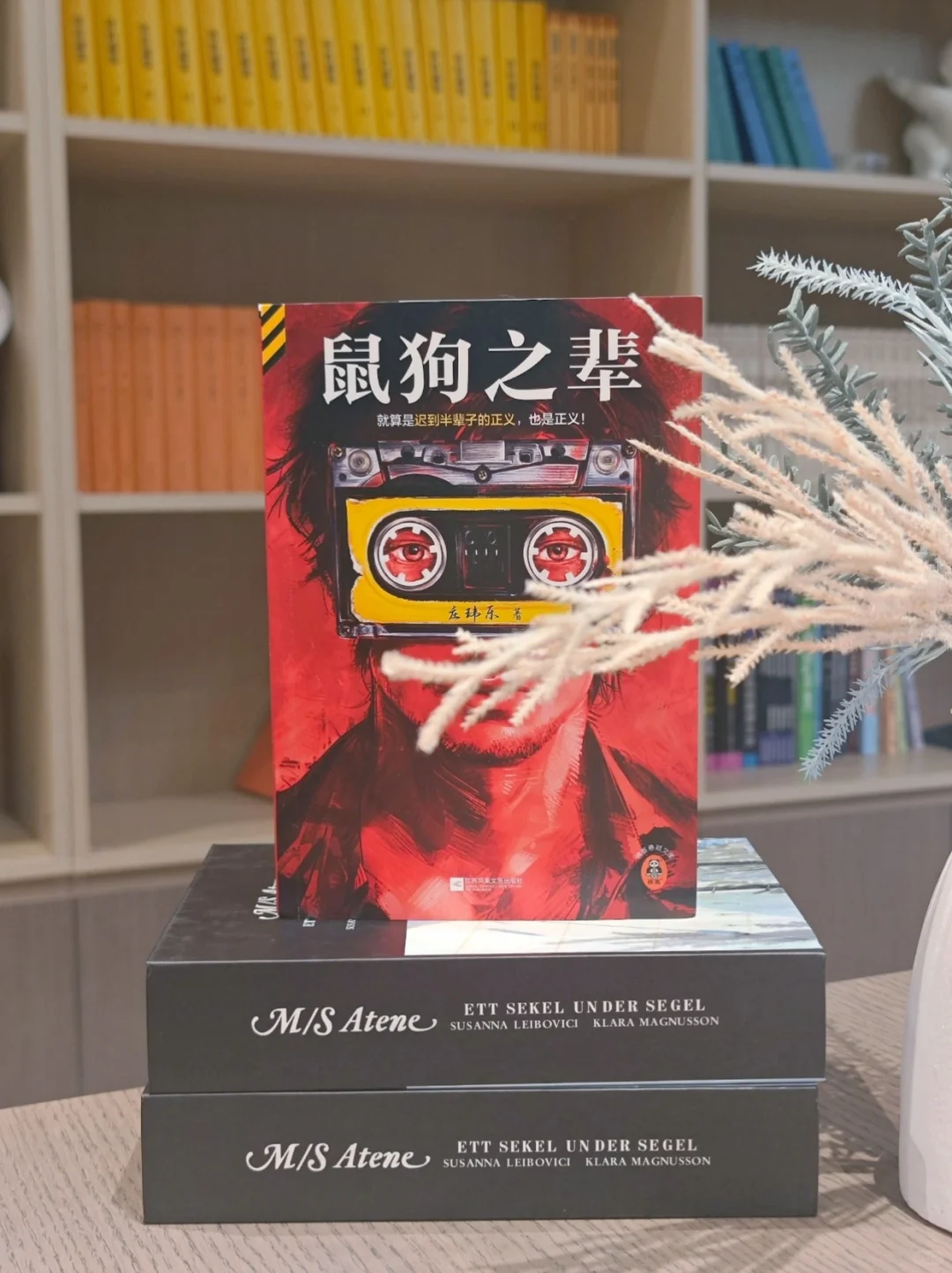 这本悬疑小说后劲儿太大了，越看越压抑～