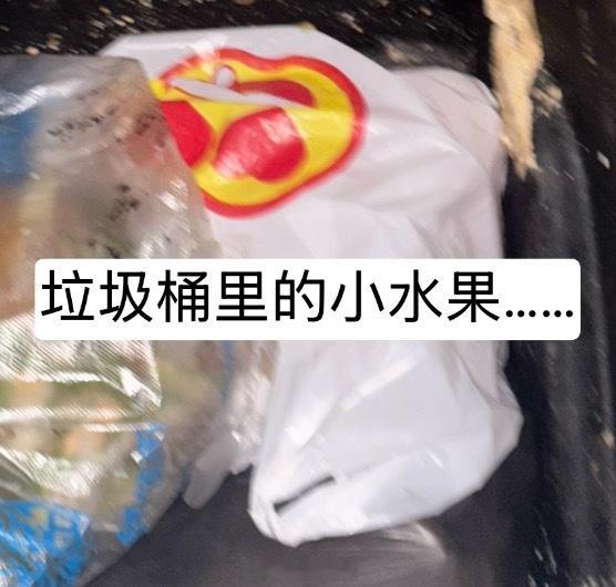 今天补觉睡醒，脑子都是混的……出门吃饭带着我刚买的榴莲和西瓜，然后当成垃圾扔垃圾