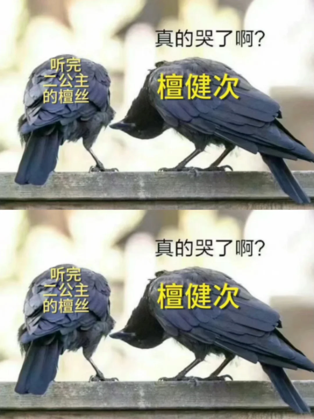 嗯，听完我们就是这个状态，你呢？