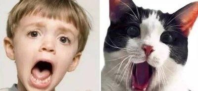 搞笑图片： ​​​