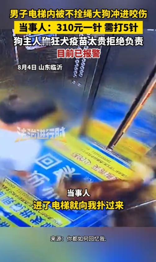 “必须严惩！”8月4日，山东临沂，一男子在电梯内，被不栓绳大狗冲进咬伤，结果，狗