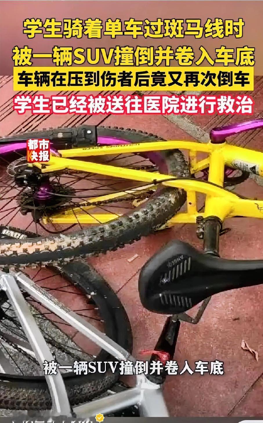【海口一机动车斑马线前未礼让学生，数名小学生被撞倒！肇事司机被行拘，老牛看完气得