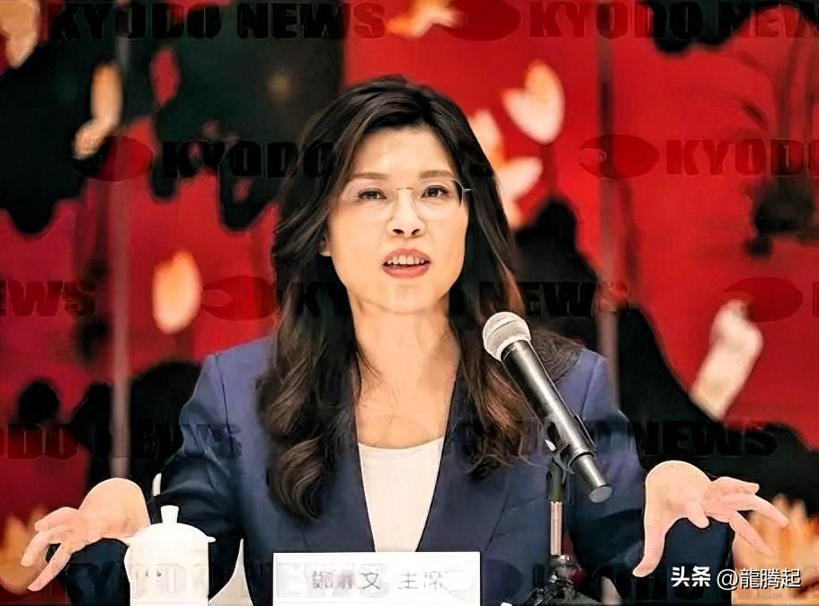 郑丽文提出的“欧盟模式”到底是什么？
简单讲：把两岸当成两个主权实体，先经贸后政