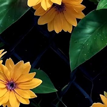 每日一善‎每日一善 ‎阳光‎信用 选择善良是一块路标，在你迷失方向之时，给你指明