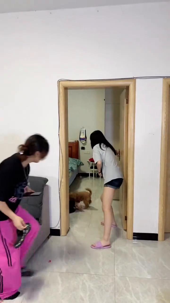 哎呦我的妈，哈哈。