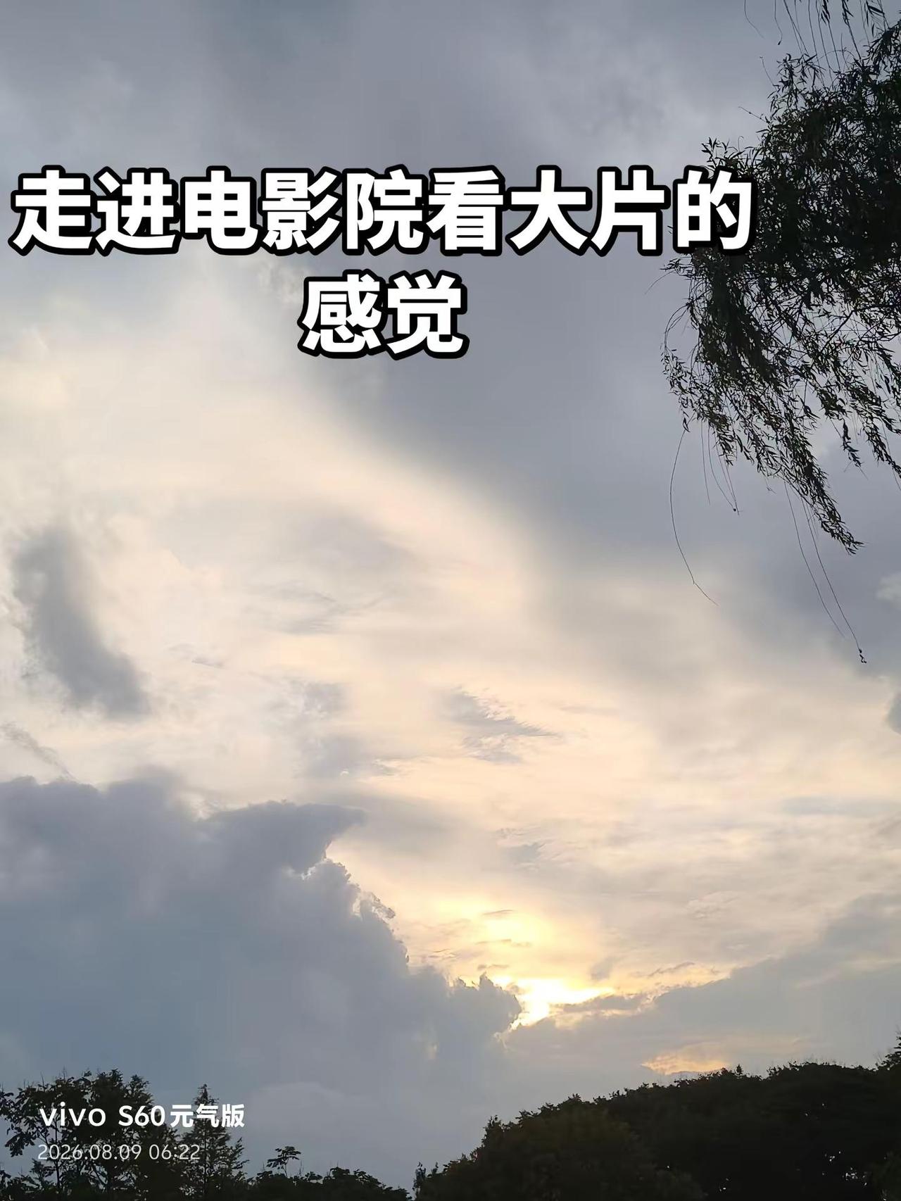 手机放下巴，低音炮回旋，亲测，绝绝了