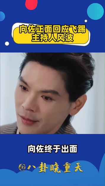 盛典上向佐即兴飞踢险些伤到主持人百克力，画面引发热议。事后他立刻到对方评论区诚恳
