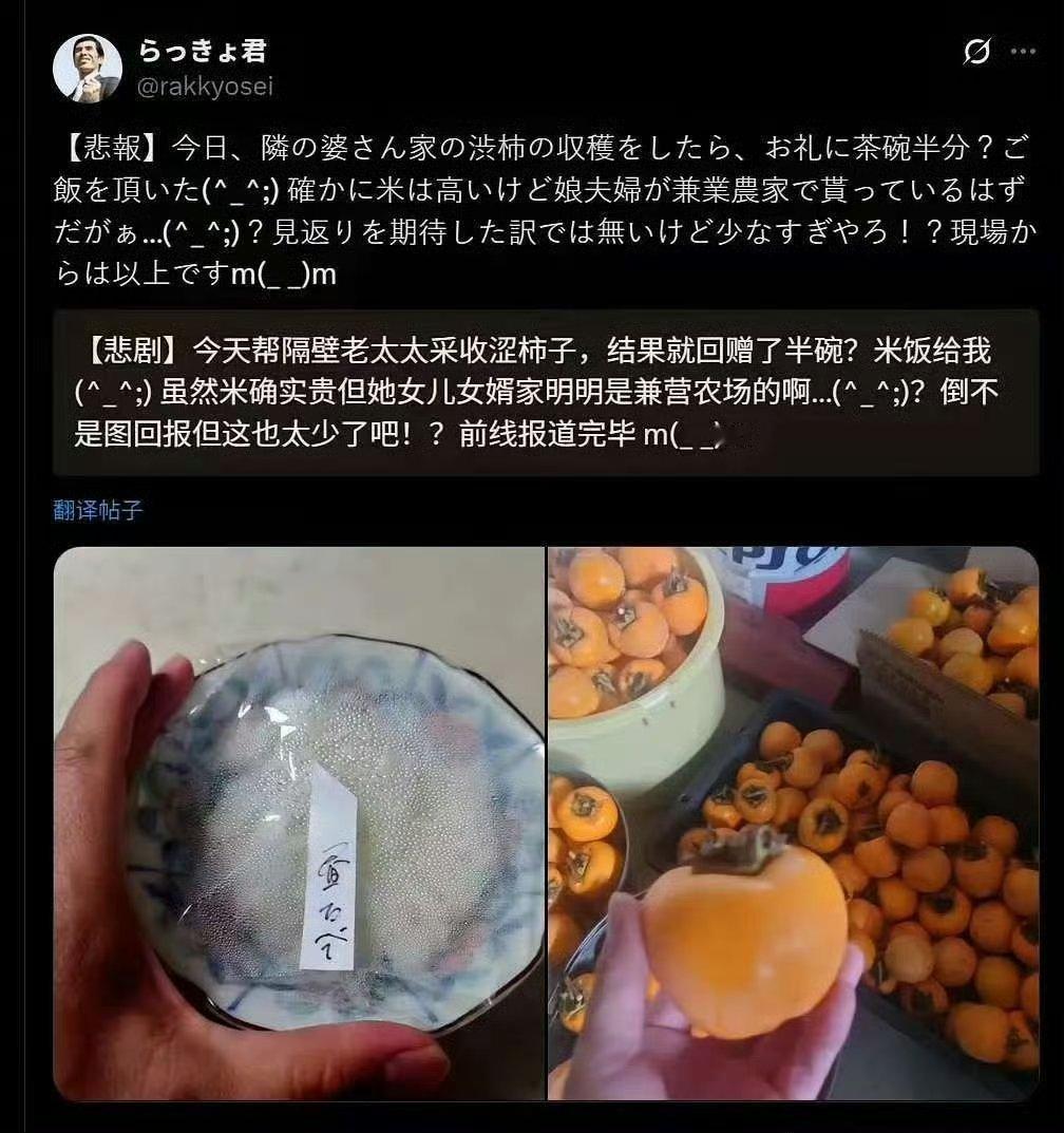 现在在日本，米都算礼品了？一日本人帮邻居家收柿子，邻居给他爸妈玩米饭作为谢礼——