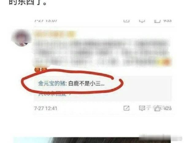 大金 我的天要亮了吗许凯的事儿跟白鹿无关，别带白鹿！！！！！白鹿实惨于正最对不起