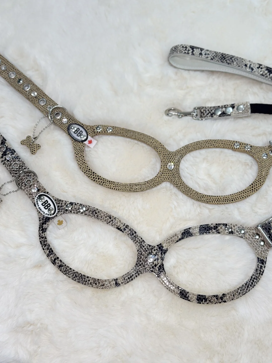 bb胸背｜小狗也要用稀有皮