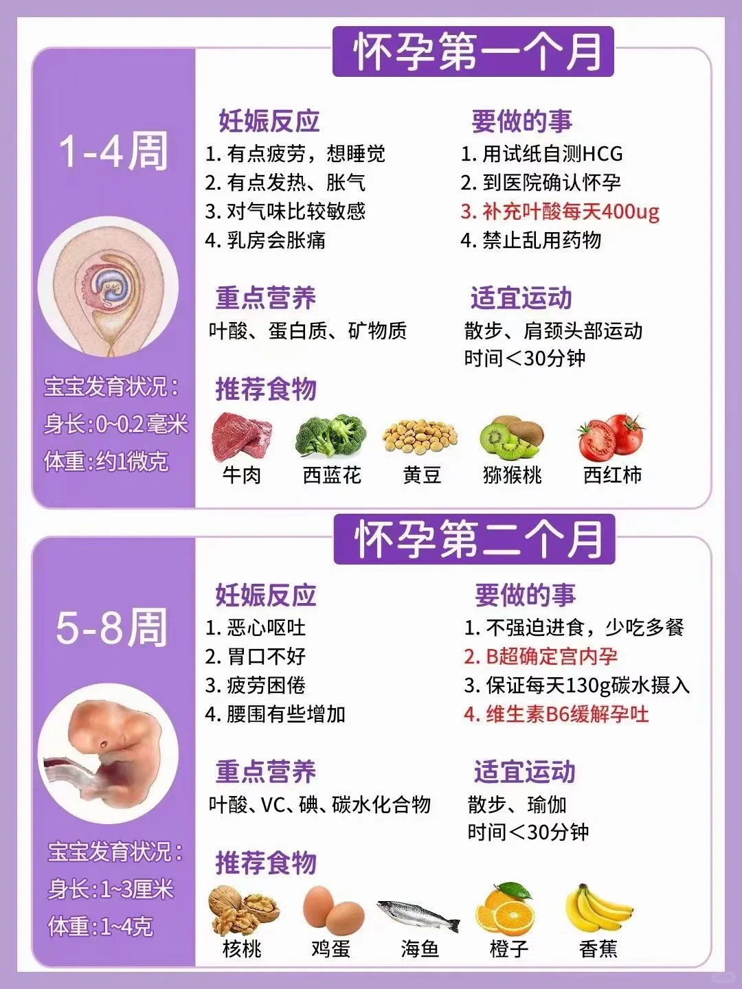 宝妈们看过来，你第几个月需要注意哪些问题