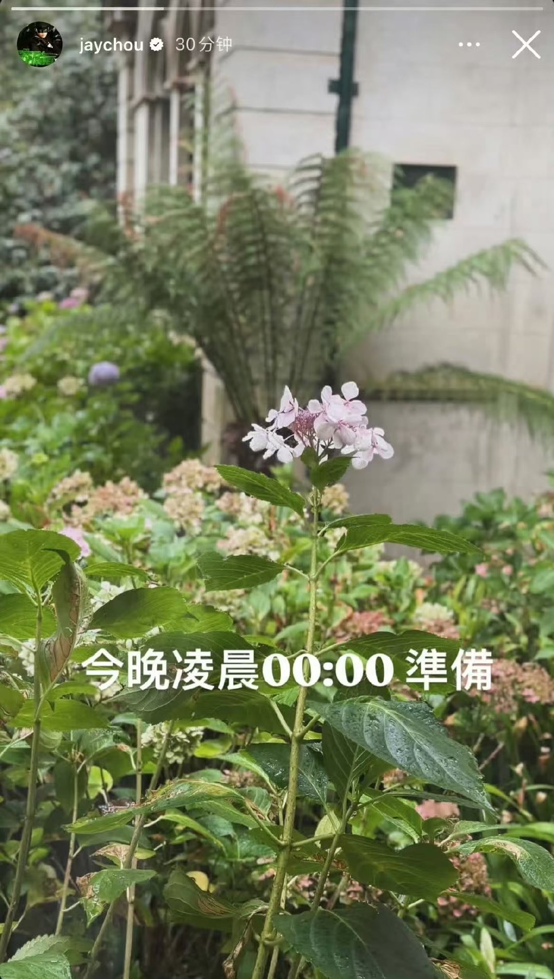 周杰伦新歌上线预告 周杰伦新歌上线预热 今晚零点准备！！ 