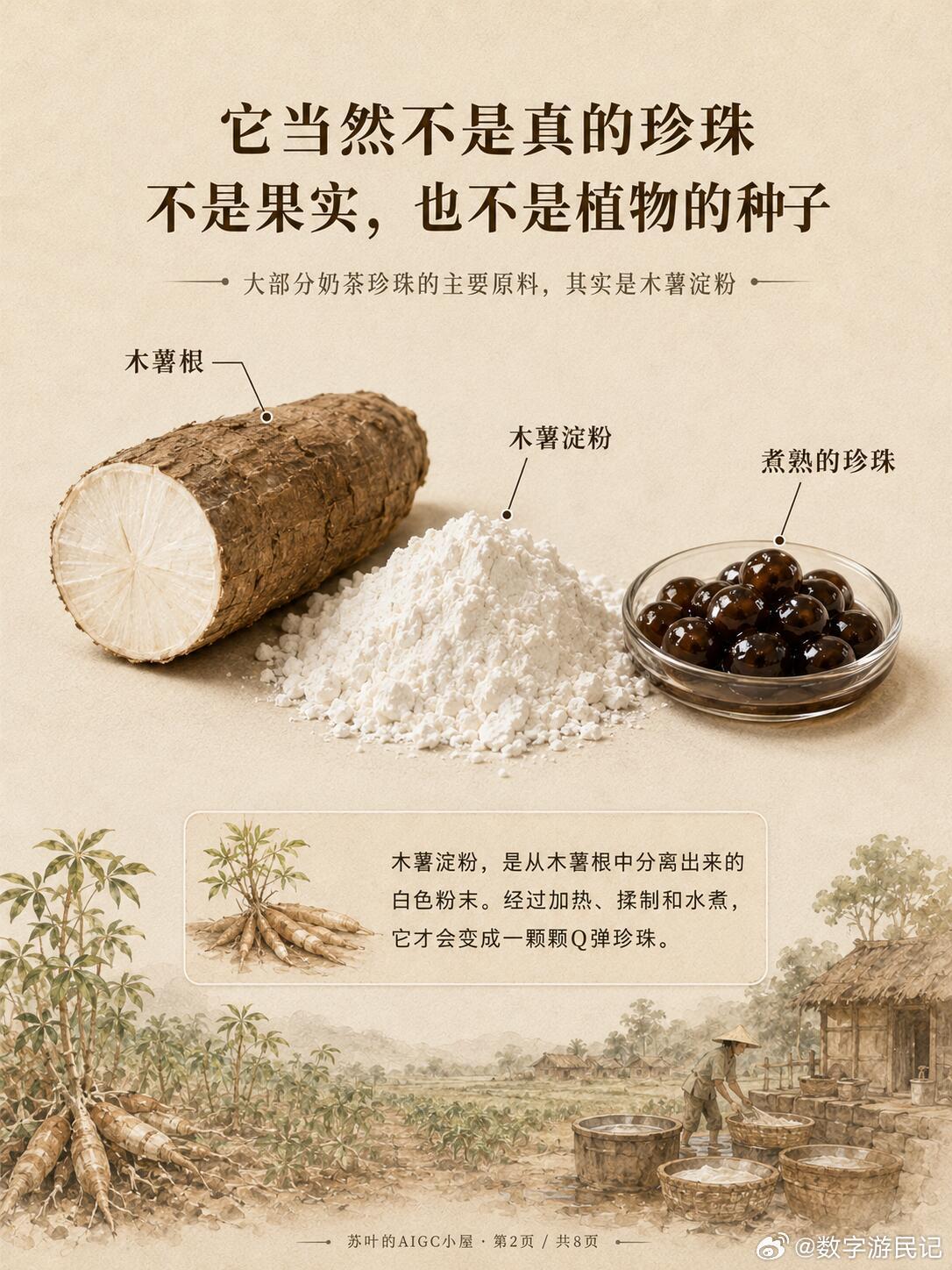 你嚼了这么多年珍珠，可能一直疑惑它是什么？你有没有想过：奶茶里的“珍珠”，到底是