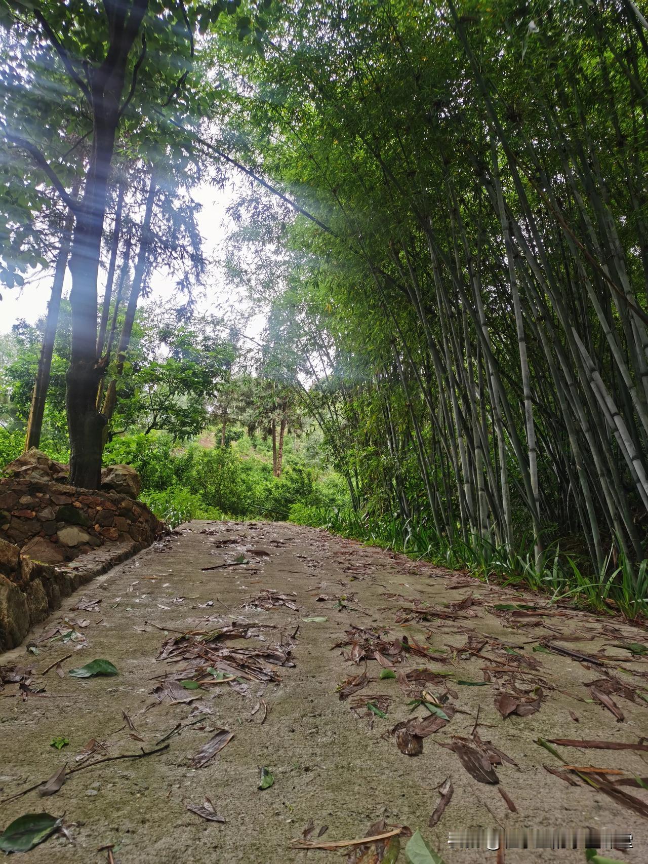乡间小路…