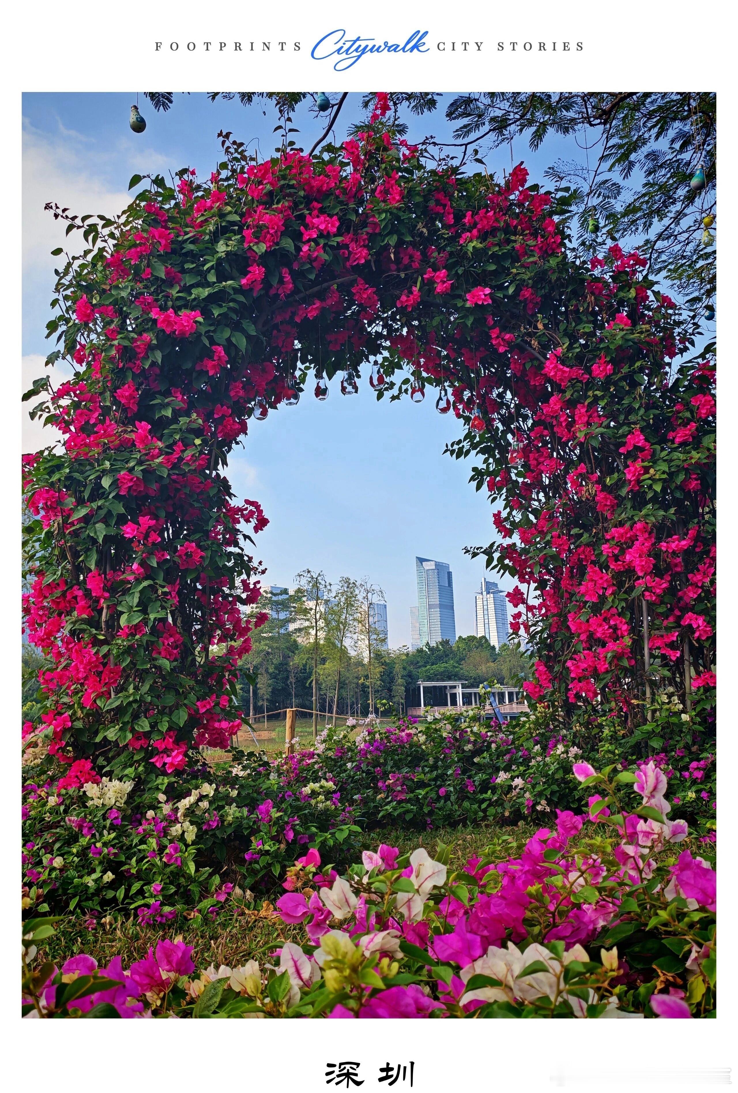 书稿中的结构要统一性、合理性、连贯性和完整性设计科学合理，易让读者接受，像搭积木