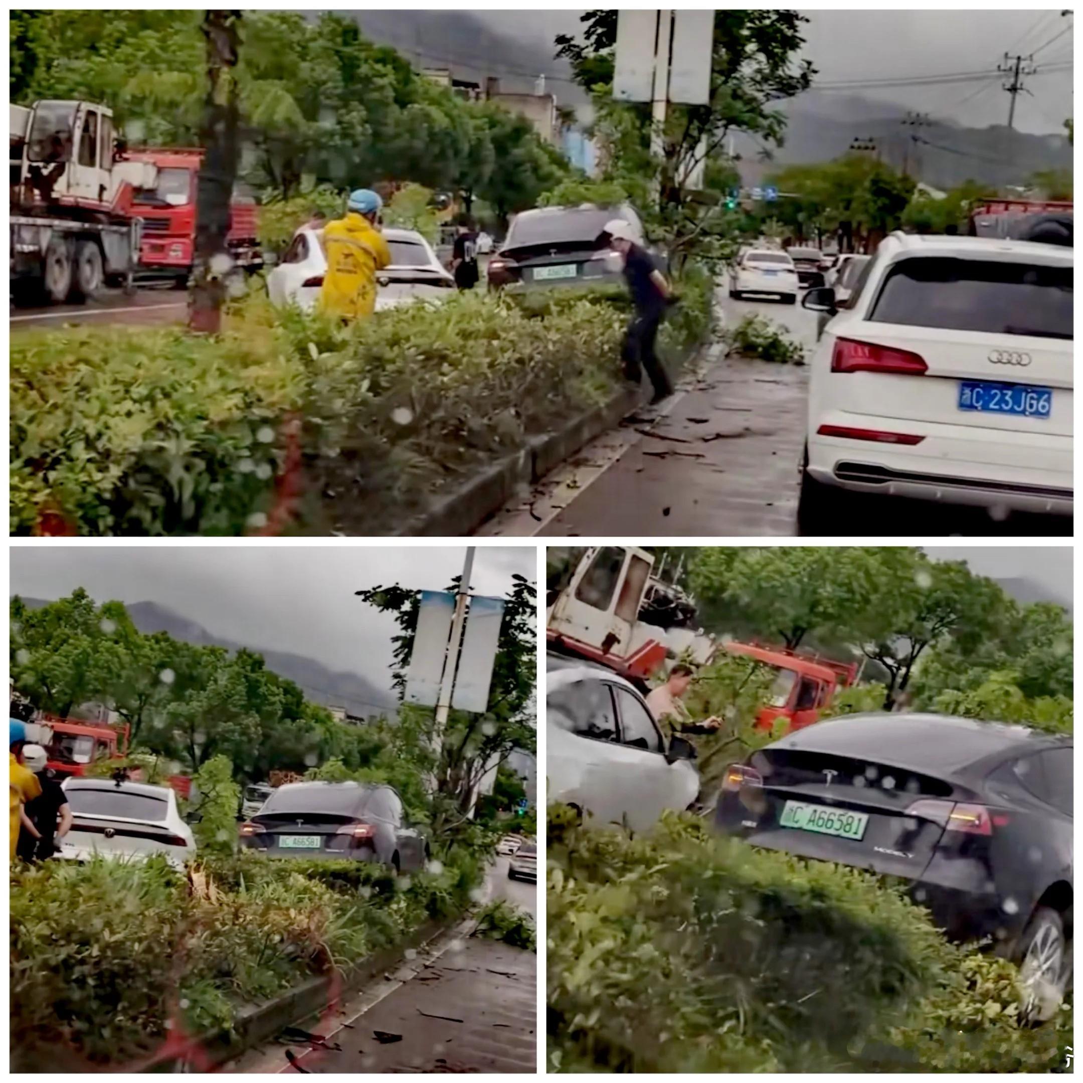 大哥，我没别的意思，我就想问下，你们测的那个第一，是这个绿化带战神吗？​​​
