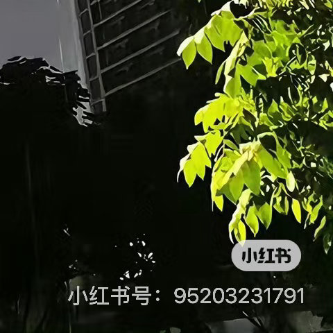 每日一善  阳光信用人生难免有低谷，就看你是否能给自己搭一个跳板；事业难免有不顺