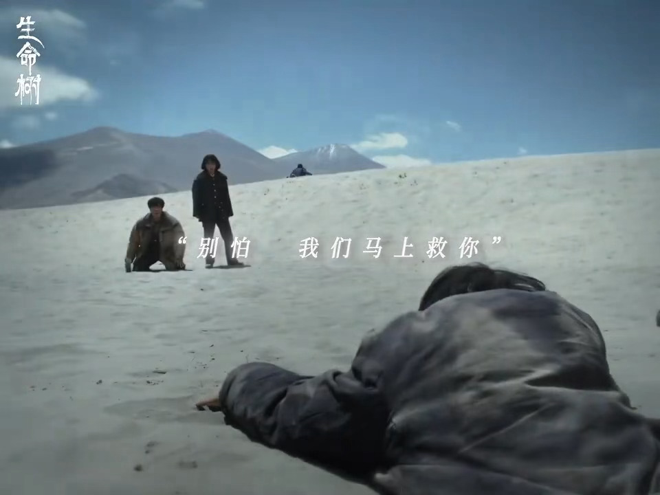 不是每一次祈求都能得到拯救生命树