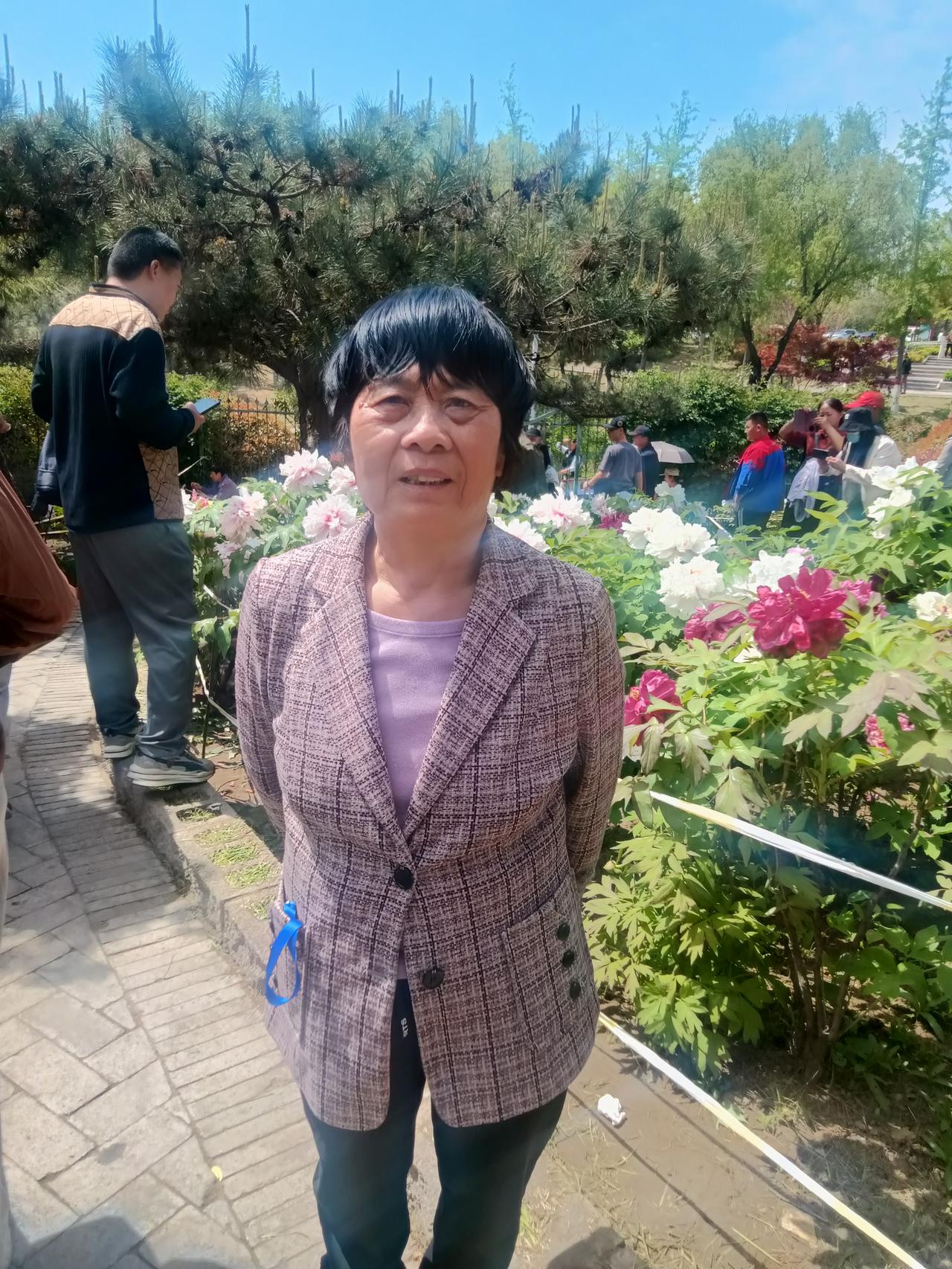 牡丹
文/李兴伟
牡丹称为白粉红，
花大木本而闻名。
命名此花为国花，
国家慕名