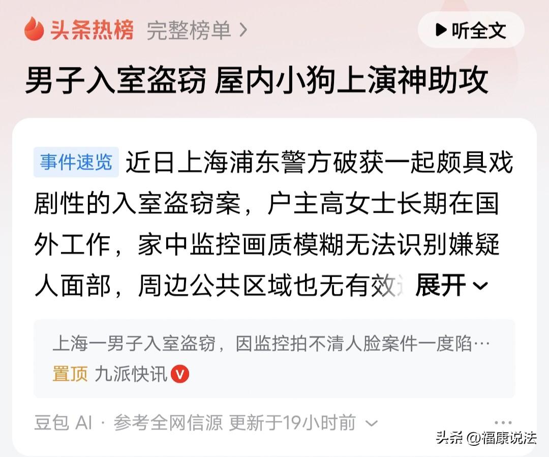 “这狗没白养！”上海，女子远在国外，发现家里被小偷翻的乱七八糟，监控模糊拍不到人