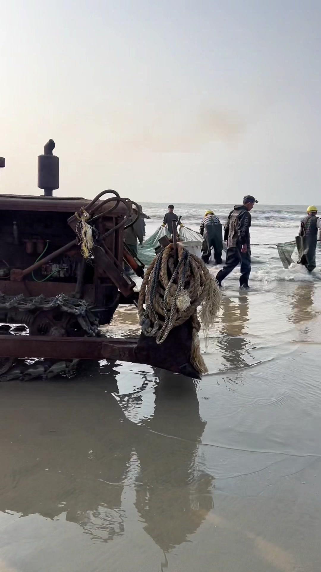 五十年前的东方红链轨拖拉机，如今已经五十岁啦！没想到它还这么能扛，田间地头依旧能