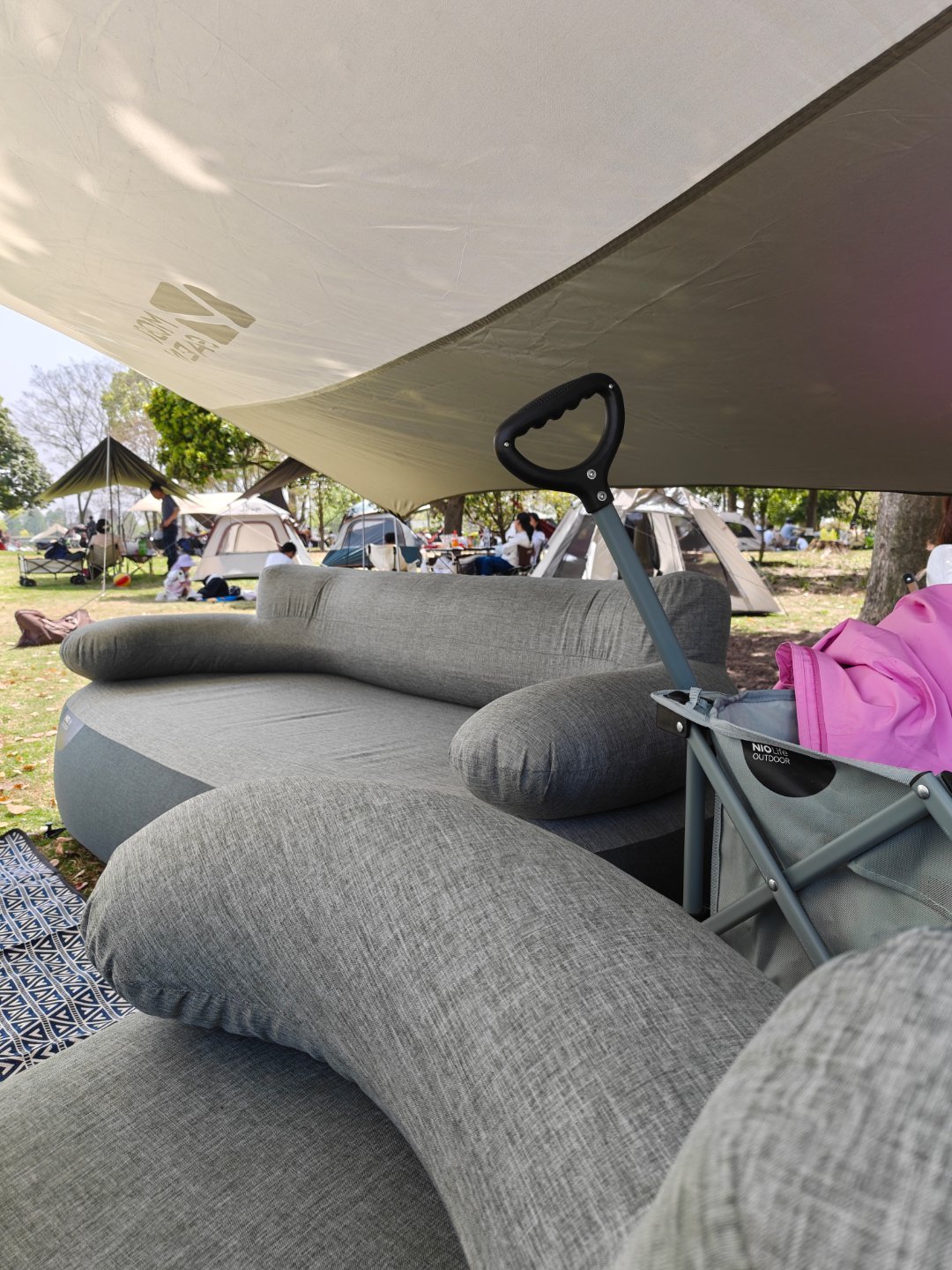 今天这个天气，出来放风的人是真多。强烈推荐一下上海这个植物园，门票不贵，风景不错