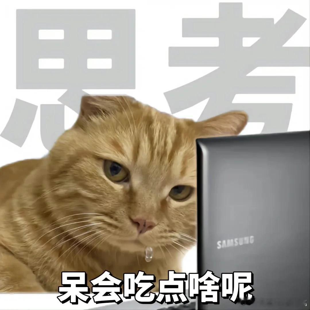 #人类的本质是计算器#没有人比我更会计算下班时间！分享一波等待下班的表情包[嘻嘻