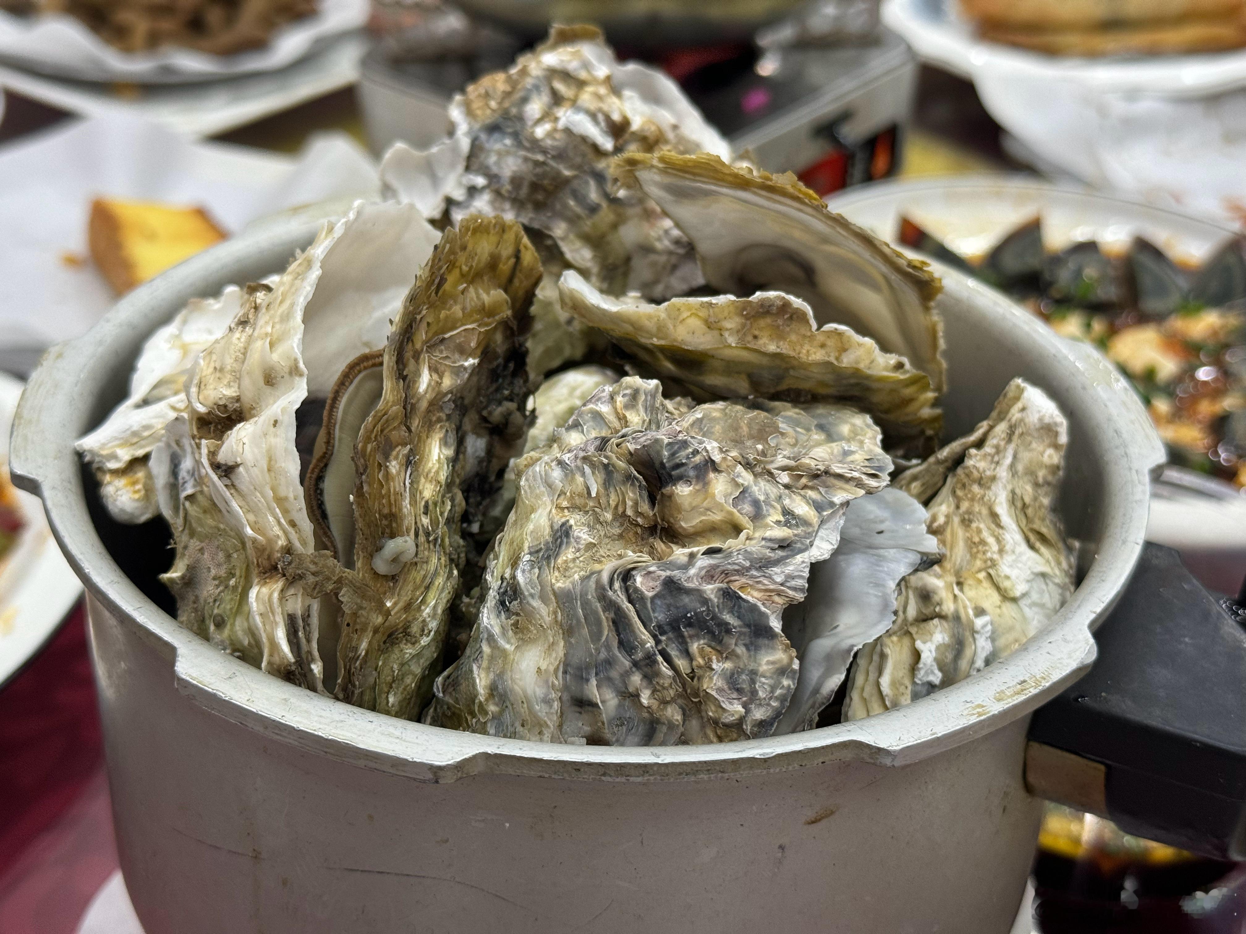 最近有点累好好补一下身体 ​​​
