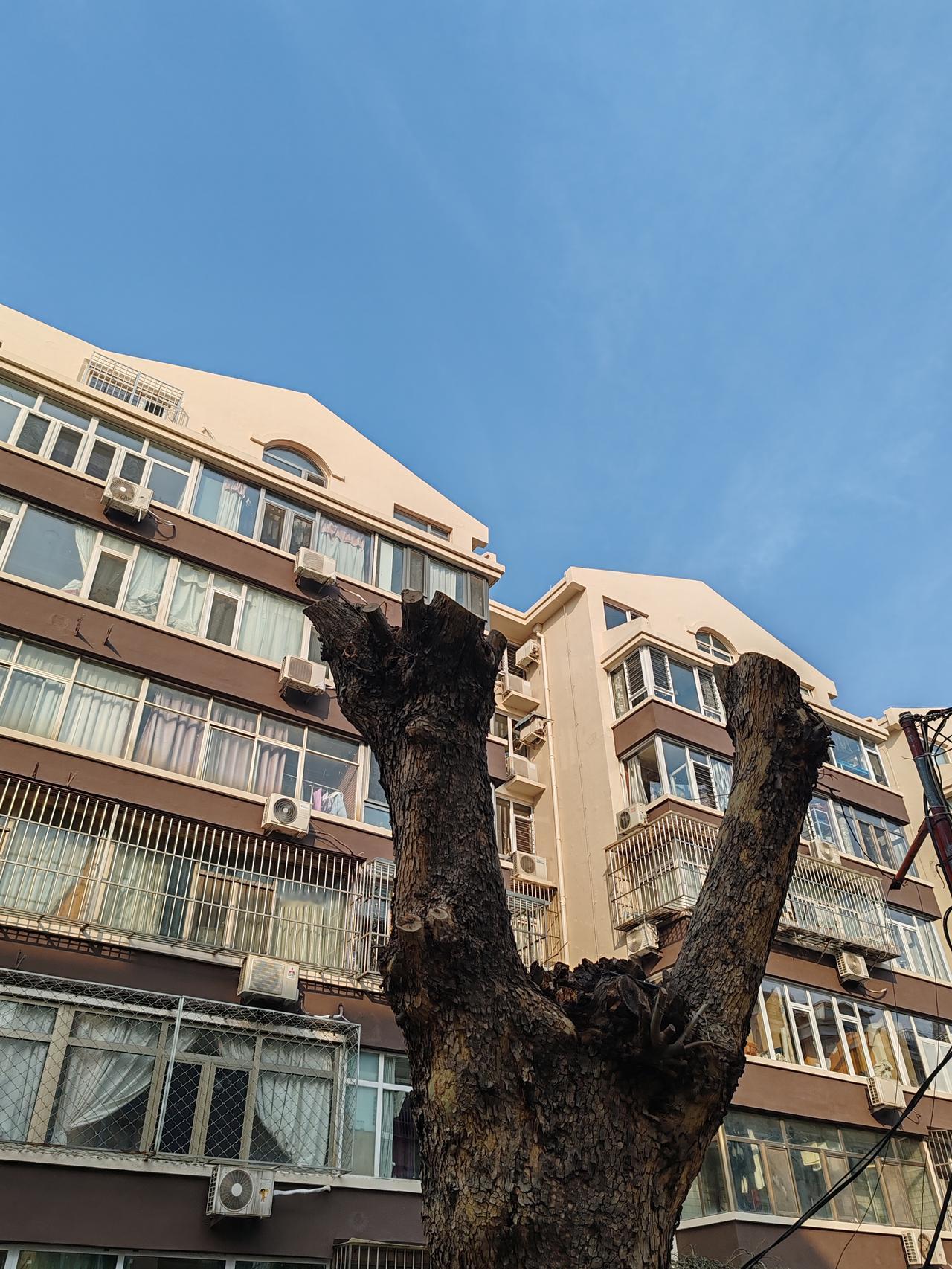 每日随手拍张照