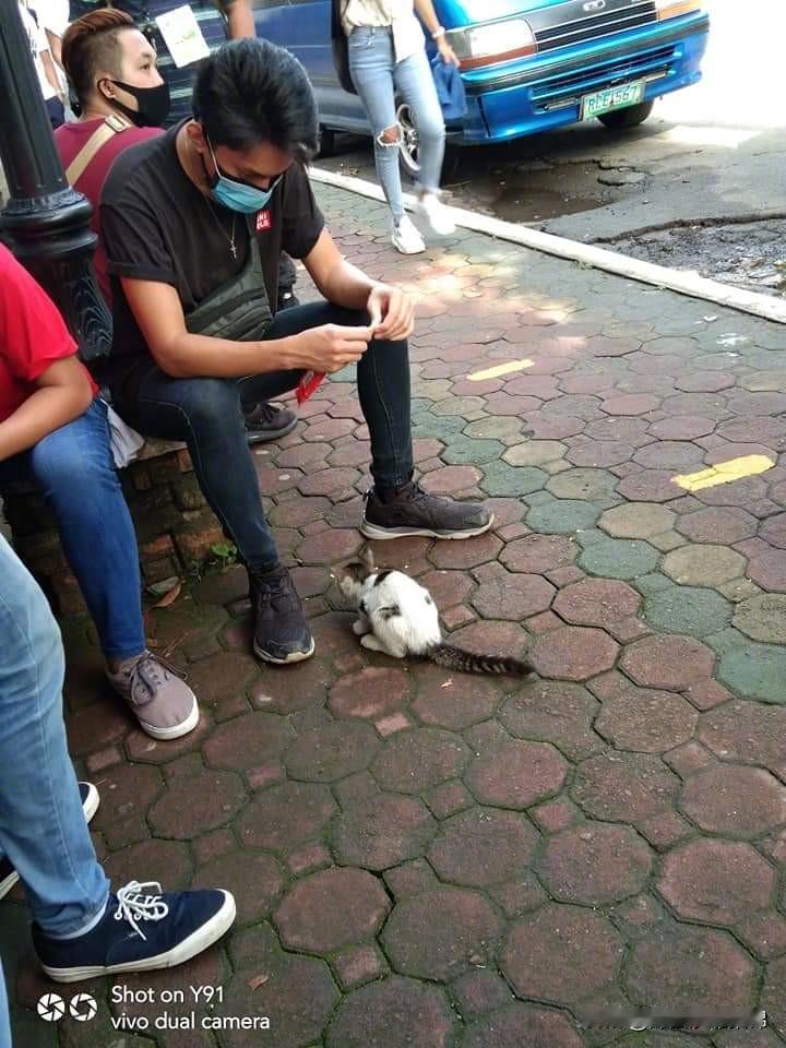 一位小哥哥在喂公交站的小流浪猫，一看就是有备而来。[心]