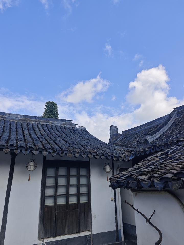 探讨一个问题：在复杂的国际地缘棋局中，哪些国家，是我们长期稳定、值得信赖的战略支