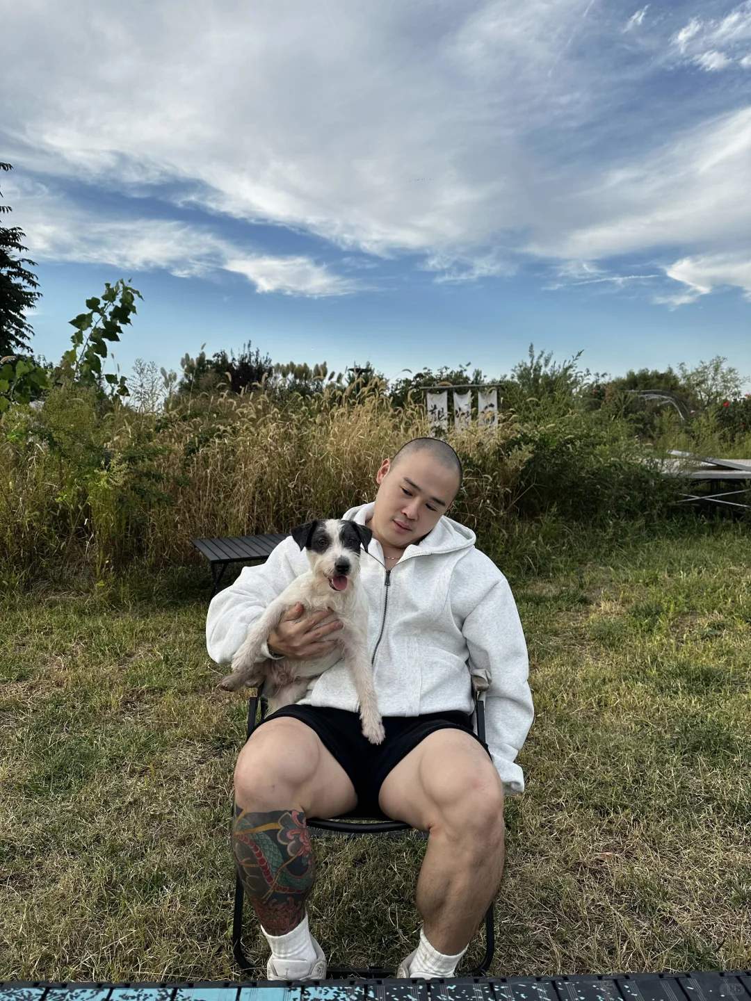 爱梗犬的每一天