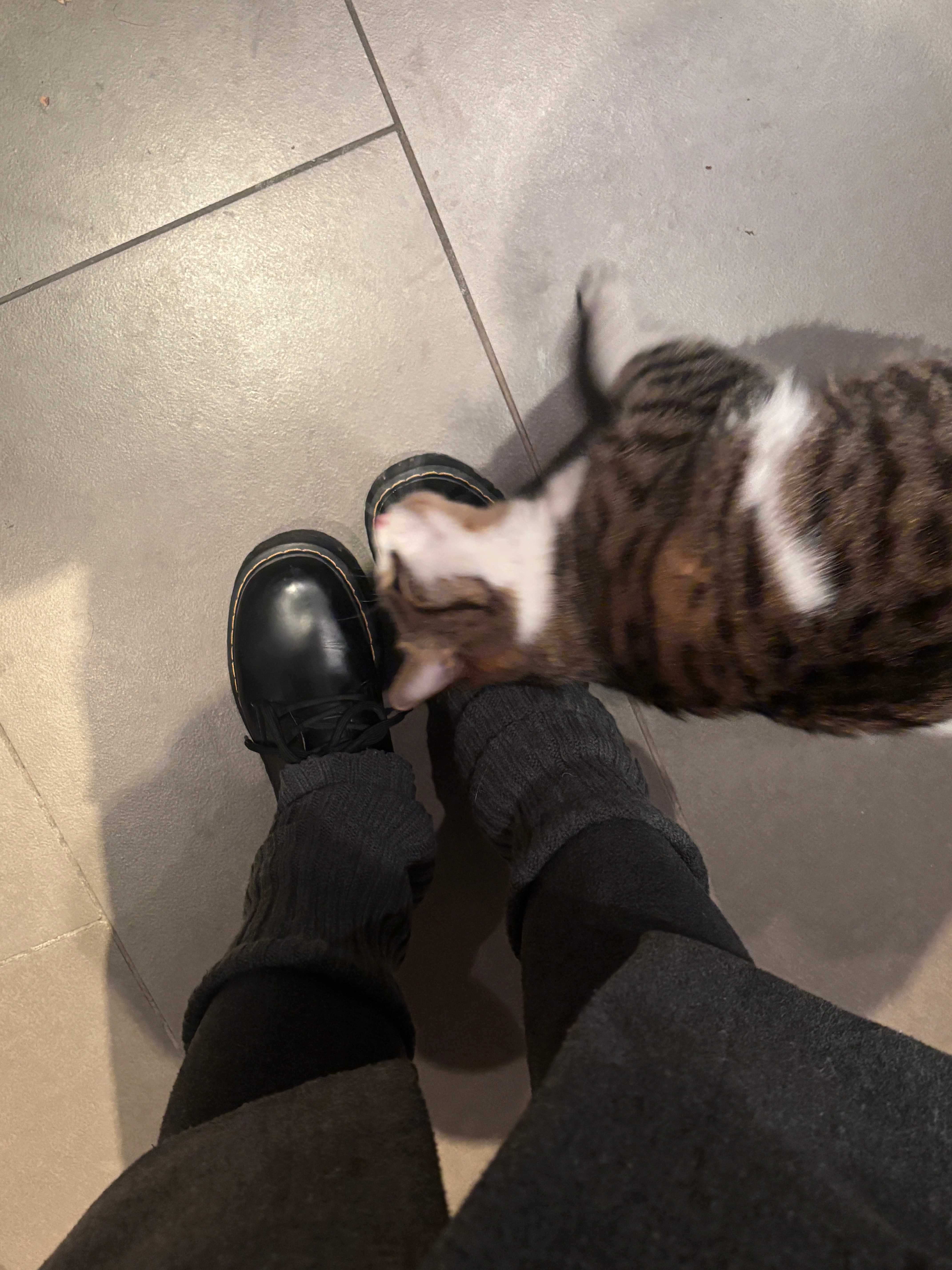 我是一个冷漠的女人 