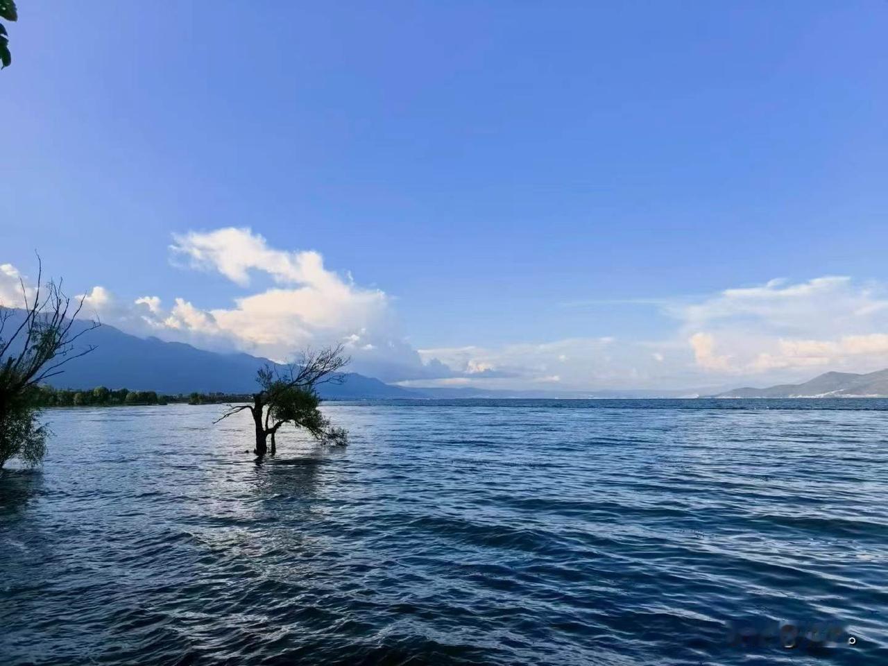 人生真的太无常了，刚刚听到亲戚的事，心里久久缓不过来。

白天还好好在上班，一点
