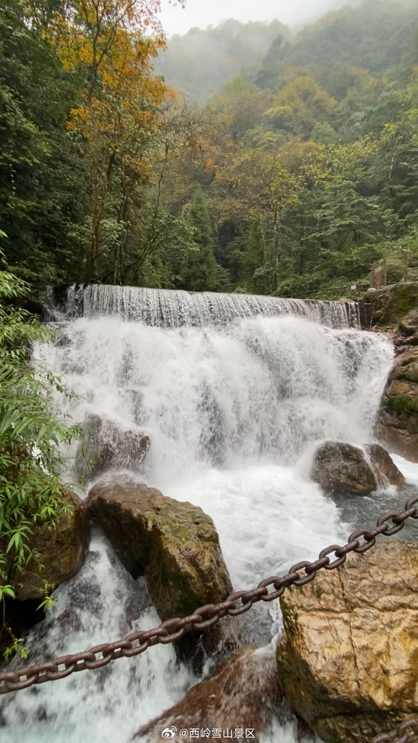 秋色为笔，山水为卷[爱你]在西岭秘境，邂逅一场彩林与瀑布的视觉交响[期待]这个秋