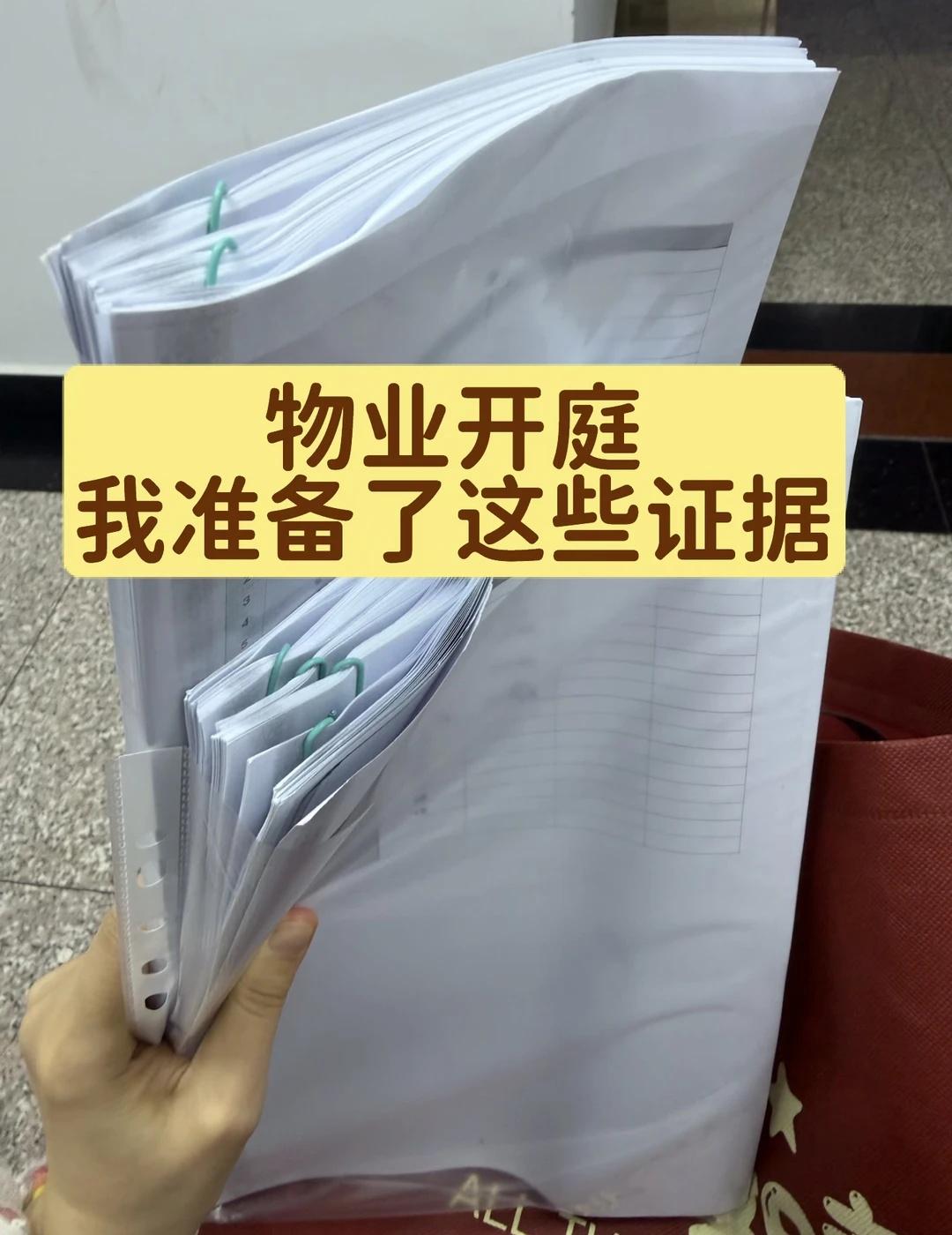 应对物业的100+页证据来了
图3是清单，图4是列表的样子，我是为了自己庭上辩论