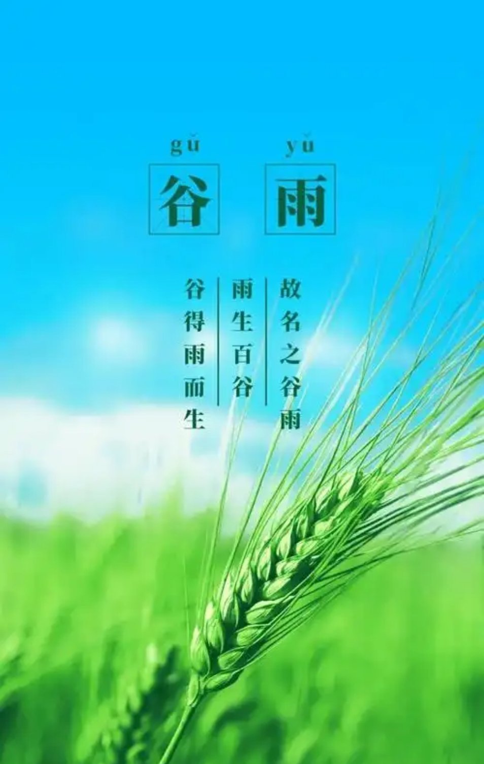 谷雨。 