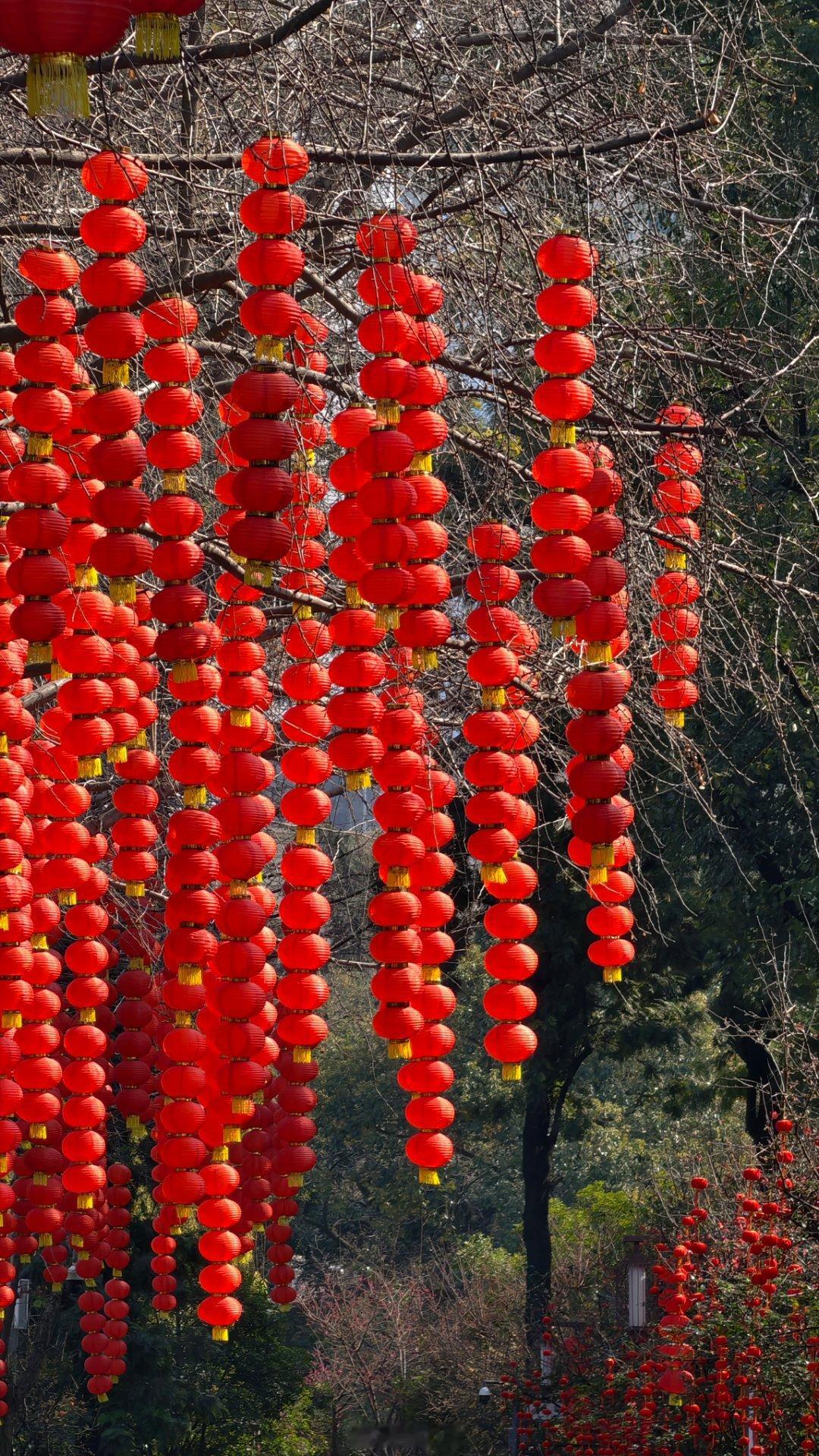 正月初六把穷气送出门 今天成都大太阳🌞整个公园里都长满了人🤗安逸得很噢，走廊