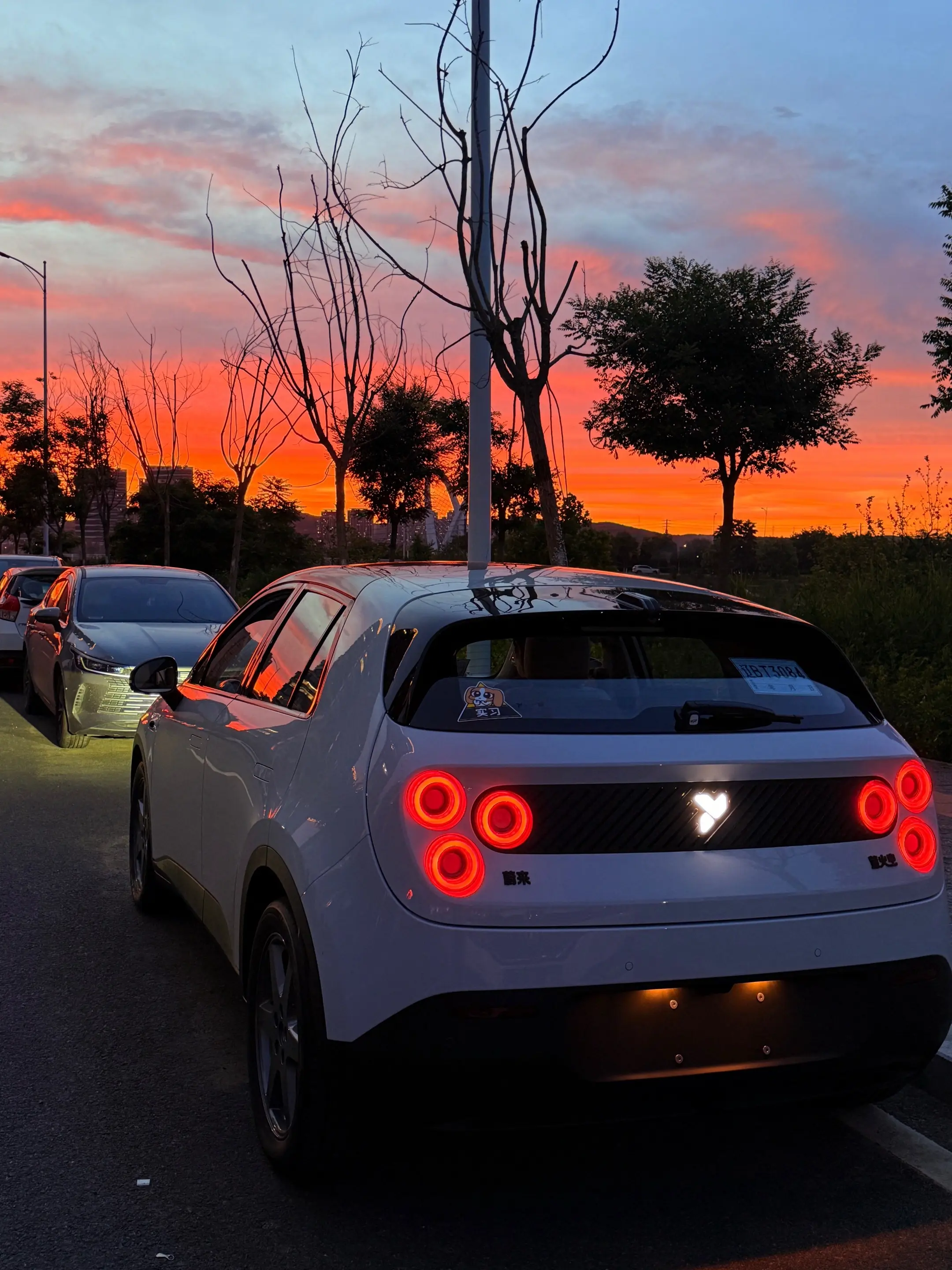 🚗。今天顺利喜提firefly萤火虫！对比多款微型电车后，还是这款车...