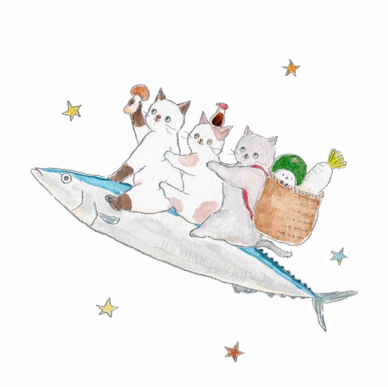 tocorocomugi的小猫🐈 ​​​