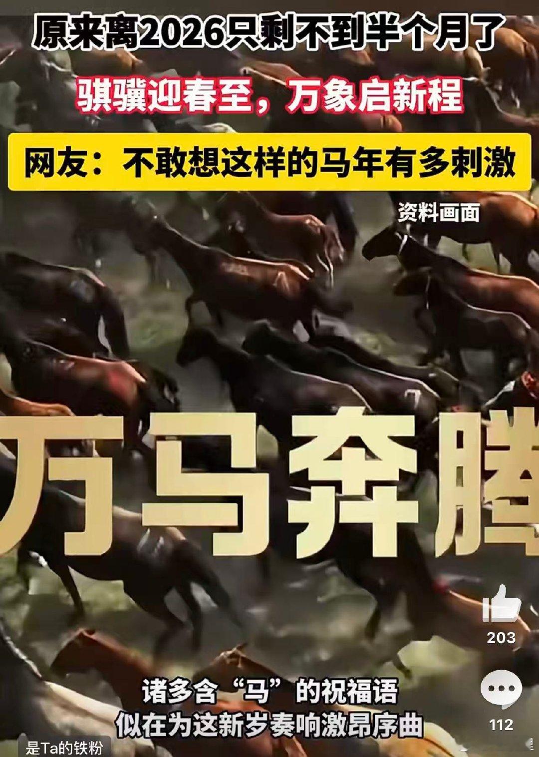 原来离2026只剩不到半个月了时光疾行，距2026马年不足半月！承《离骚》骐骥驰